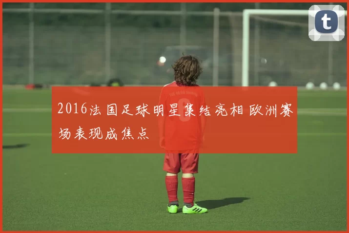 2016法国足球明星集结亮相 欧洲赛场表现成焦点