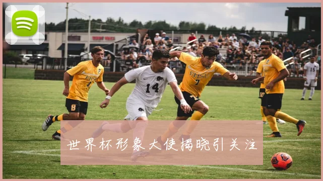 世界杯形象大使揭晓引关注